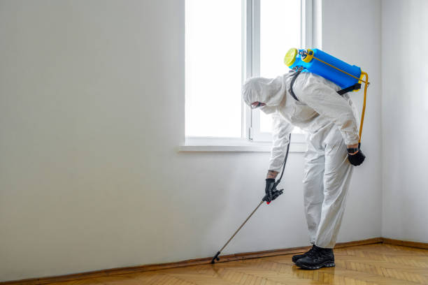 Best Real Estate Pest Inspections  in Antlers, OK